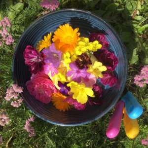 Gemeinsam Wild Kochen - mit Manuela in Rauschendorf - 4. September 2026